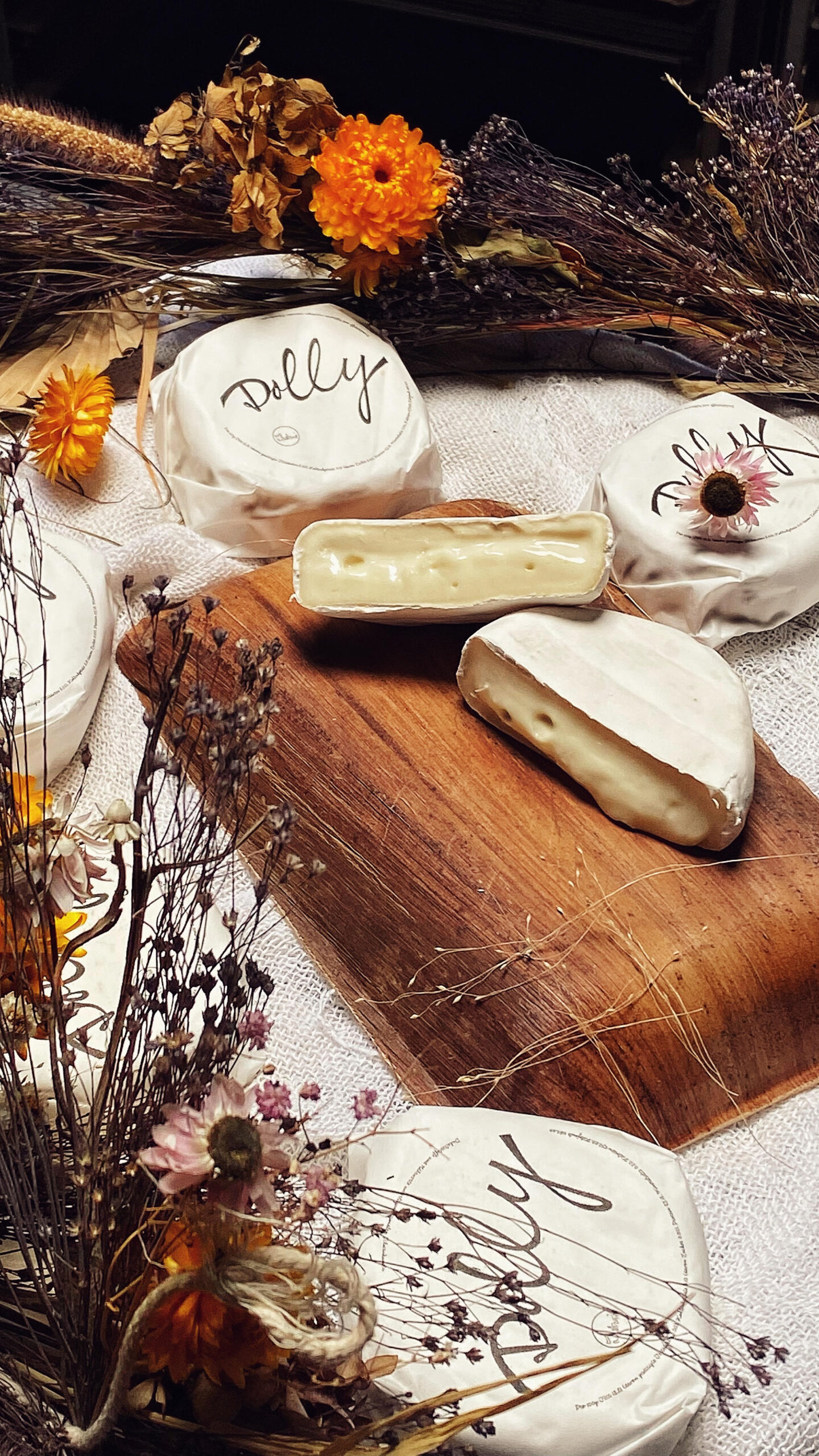Dolly Jumi Cheese London Online Shop