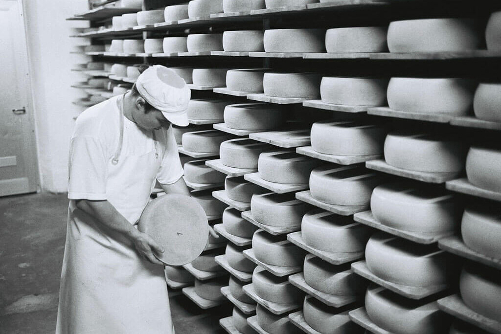Cheese ripening storage at Jumi London
